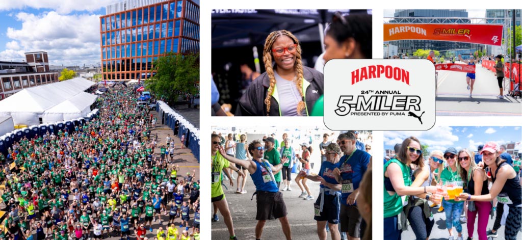 More information about the Harpoon 5 case study